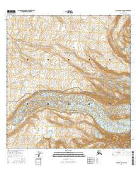 Gulkana B-1 SW Alaska Current topographic map, 1:25000 scale, 7.5 X 7.5 Minute, Year 2016