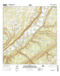 Gulkana B-2 NW Alaska Current topographic map, 1:25000 scale, 7.5 X 7.5 Minute, Year 2016