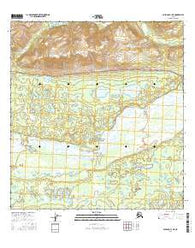 Gulkana C-1 NE Alaska Current topographic map, 1:25000 scale, 7.5 X 7.5 Minute, Year 2016