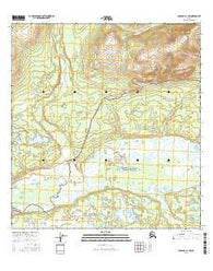 Gulkana C-1 NW Alaska Current topographic map, 1:25000 scale, 7.5 X 7.5 Minute, Year 2016