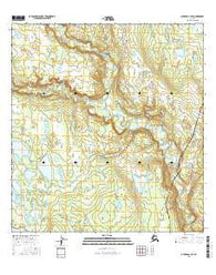 Gulkana C-4 SE Alaska Current topographic map, 1:25000 scale, 7.5 X 7.5 Minute, Year 2016