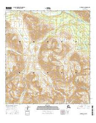 Gulkana D-1 NE Alaska Current topographic map, 1:25000 scale, 7.5 X 7.5 Minute, Year 2016