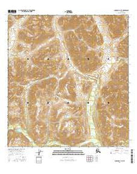 Gulkana D-1 SE Alaska Current topographic map, 1:25000 scale, 7.5 X 7.5 Minute, Year 2016
