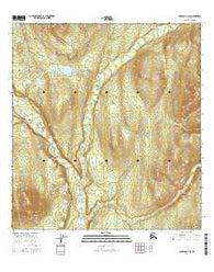 Gulkana D-2 SE Alaska Current topographic map, 1:25000 scale, 7.5 X 7.5 Minute, Year 2016
