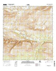 Gulkana D-5 SE Alaska Current topographic map, 1:25000 scale, 7.5 X 7.5 Minute, Year 2016