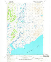 Hagemeister Island D-4 Alaska Historical topographic map, 1:63360 scale, 15 X 15 Minute, Year 1954