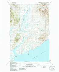 Hagemeister Island D-4 Alaska Historical topographic map, 1:63360 scale, 15 X 15 Minute, Year 1954
