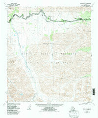 Healy C-5 Alaska Historical topographic map, 1:63360 scale, 15 X 15 Minute, Year 1953