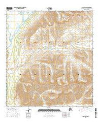 Healy A-1 NW Alaska Current topographic map, 1:25000 scale, 7.5 X 7.5 Minute, Year 2016