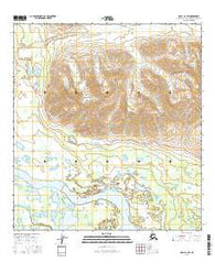 Healy A-1 SW Alaska Current topographic map, 1:25000 scale, 7.5 X 7.5 Minute, Year 2016