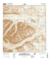 Healy A-3 NW Alaska Current topographic map, 1:25000 scale, 7.5 X 7.5 Minute, Year 2016
