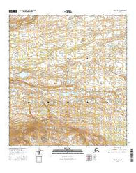 Healy B-2 SW Alaska Current topographic map, 1:25000 scale, 7.5 X 7.5 Minute, Year 2016