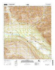 Healy C-3 NW Alaska Current topographic map, 1:25000 scale, 7.5 X 7.5 Minute, Year 2016