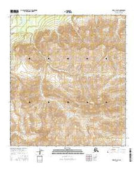 Healy D-2 NE Alaska Current topographic map, 1:25000 scale, 7.5 X 7.5 Minute, Year 2016