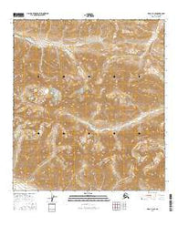 Healy D-2 SE Alaska Current topographic map, 1:25000 scale, 7.5 X 7.5 Minute, Year 2016