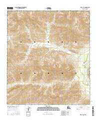 Healy D-3 SE Alaska Current topographic map, 1:25000 scale, 7.5 X 7.5 Minute, Year 2016