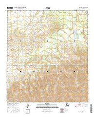Healy D-5 SE Alaska Current topographic map, 1:25000 scale, 7.5 X 7.5 Minute, Year 2016