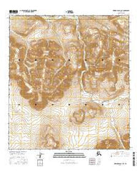 Howard Pass A-2 SE Alaska Current topographic map, 1:25000 scale, 7.5 X 7.5 Minute, Year 2016