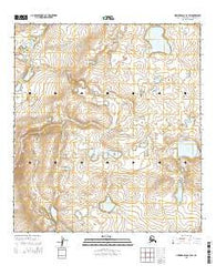Howard Pass A-4 SW Alaska Current topographic map, 1:25000 scale, 7.5 X 7.5 Minute, Year 2015