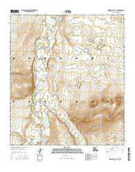 Howard Pass C-1 NE Alaska Current topographic map, 1:25000 scale, 7.5 X 7.5 Minute, Year 2016