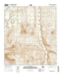 Howard Pass C-1 SE Alaska Current topographic map, 1:25000 scale, 7.5 X 7.5 Minute, Year 2016