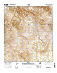 Howard Pass C-2 SE Alaska Current topographic map, 1:25000 scale, 7.5 X 7.5 Minute, Year 2016