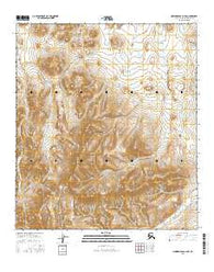 Howard Pass C-4 SW Alaska Current topographic map, 1:25000 scale, 7.5 X 7.5 Minute, Year 2016