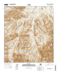 Howard Pass C-5 SE Alaska Current topographic map, 1:25000 scale, 7.5 X 7.5 Minute, Year 2015