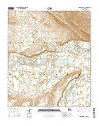 Howard Pass D-1 NE Alaska Current topographic map, 1:25000 scale, 7.5 X 7.5 Minute, Year 2016