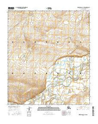 Howard Pass D-1 NW Alaska Current topographic map, 1:25000 scale, 7.5 X 7.5 Minute, Year 2016