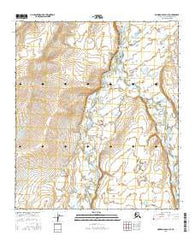 Howard Pass D-1 SE Alaska Current topographic map, 1:25000 scale, 7.5 X 7.5 Minute, Year 2016