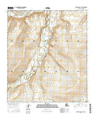 Howard Pass D-1 SW Alaska Current topographic map, 1:25000 scale, 7.5 X 7.5 Minute, Year 2016