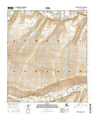 Howard Pass D-2 SE Alaska Current topographic map, 1:25000 scale, 7.5 X 7.5 Minute, Year 2016