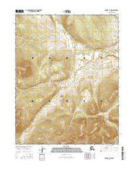 Hughes C-2 SW Alaska Current topographic map, 1:25000 scale, 7.5 X 7.5 Minute, Year 2016