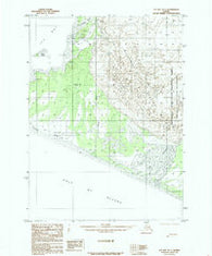 Icy Bay D-1 Alaska Historical topographic map, 1:63360 scale, 15 X 15 Minute, Year 1985