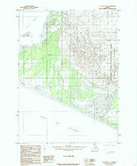Icy Bay D-1 Alaska Historical topographic map, 1:63360 scale, 15 X 15 Minute, Year 1985