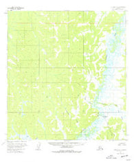 Iditarod C-5 Alaska Historical topographic map, 1:63360 scale, 15 X 15 Minute, Year 1954