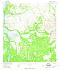 Iditarod D-3 Alaska Historical topographic map, 1:63360 scale, 15 X 15 Minute, Year 1954