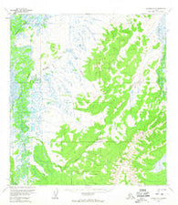 Iditarod D-4 Alaska Historical topographic map, 1:63360 scale, 15 X 15 Minute, Year 1954