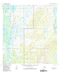 Iditarod D-4 Alaska Historical topographic map, 1:63360 scale, 15 X 15 Minute, Year 1954