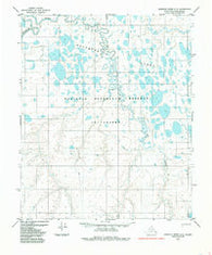 Ikpikpuk River C-3 Alaska Historical topographic map, 1:63360 scale, 15 X 15 Minute, Year 1985