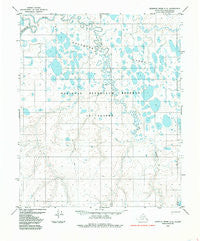 Ikpikpuk River C-3 Alaska Historical topographic map, 1:63360 scale, 15 X 15 Minute, Year 1985