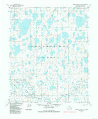 Ikpikpuk River D-2 Alaska Historical topographic map, 1:63360 scale, 15 X 15 Minute, Year 1984