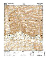 Ikpikpuk River B-3 SE Alaska Current topographic map, 1:25000 scale, 7.5 X 7.5 Minute, Year 2016