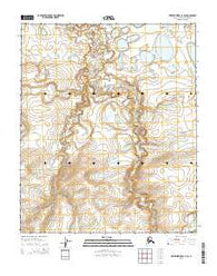 Ikpikpuk River C-3 SE Alaska Current topographic map, 1:25000 scale, 7.5 X 7.5 Minute, Year 2015