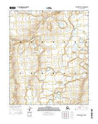 Ikpikpuk River C-5 NW Alaska Current topographic map, 1:25000 scale, 7.5 X 7.5 Minute, Year 2015