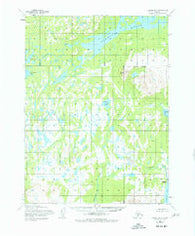 Iliamna B-4 Alaska Historical topographic map, 1:63360 scale, 15 X 15 Minute, Year 1954