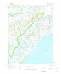 Iliamna C-8 Alaska Historical topographic map, 1:63360 scale, 15 X 15 Minute, Year 1954