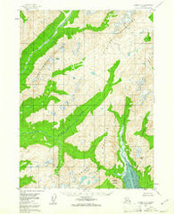 Iliamna D-2 Alaska Historical topographic map, 1:63360 scale, 15 X 15 Minute, Year 1958