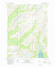 Iliamna D-2 Alaska Historical topographic map, 1:63360 scale, 15 X 15 Minute, Year 1958